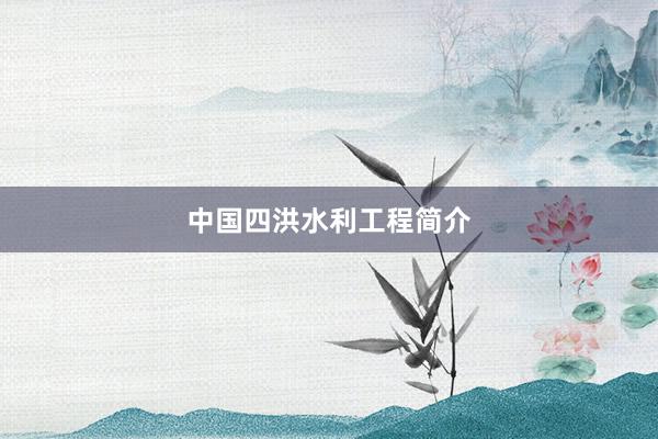 中国四洪水利工程简介
