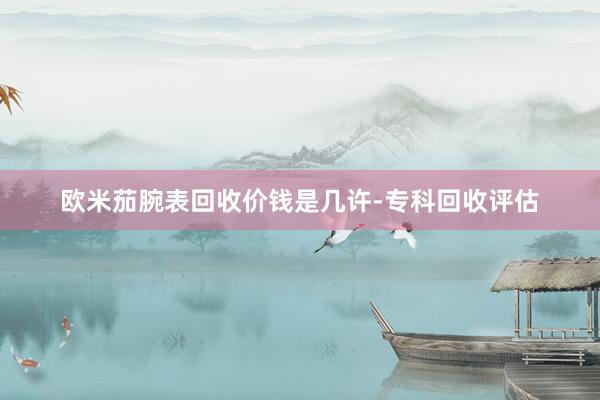欧米茄腕表回收价钱是几许-专科回收评估