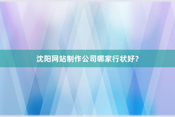 沈阳网站制作公司哪家行状好？