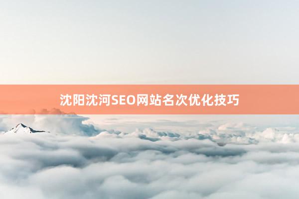 沈阳沈河SEO网站名次优化技巧