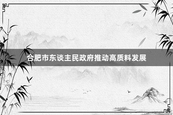 合肥市东谈主民政府推动高质料发展